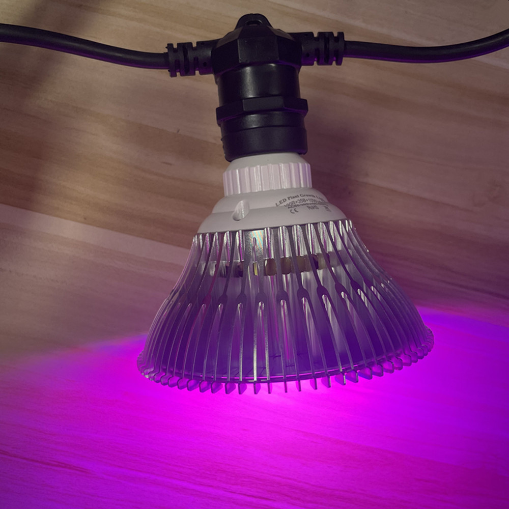 10M Cable LED String Commercia - đánh giá và giá Outdoor Lighting And Landscape